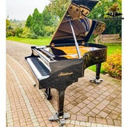 Julius Blüthner Leipzig 190cm Bj 1900 - Neuwertig  20% Mwst. Musism.com Flügel & Konzertflügel Bechstein musism Blüthner - Wien Österreich