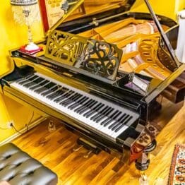 Flügel Bösendorfer Strauss 225 Konzertflügel Bj 1919 Musism.com Flügel & Konzertflügel Bechstein Steinway Bösendorfer Bechstein Klaviergalerie (42 of 163) Wien Österreich