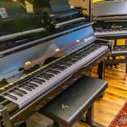 (Verkauft) Klavier Bösendorfer Pianino Mod. 130cm Bj 1991 - Neuwertig Musism.com Klaviere Bechstein Steinway Bösendorfer Bechstein Klaviergalerie (72 of 163) Wien Österreich