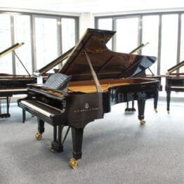 Gebrauchter Steinway & Sons Flügel, Modell D-274, Baujahr 1893