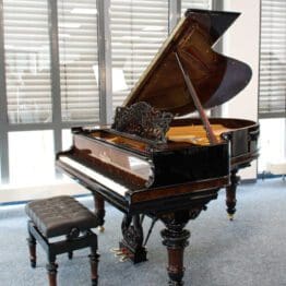 Steinway & Sons O-180 Flügel aus Wurzelholz mit schwarzen Akzenten, Baujahr 1903, gebraucht