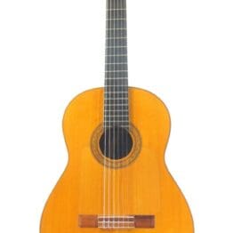 Gerundino Fernandez 1970 - Meistergitarre im Flamenco-Stil - absolute Rarität + Video