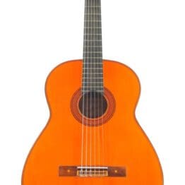 Pedro Maldonado 1993 - Traditionelle Flamenco Meistergitarre + Video!